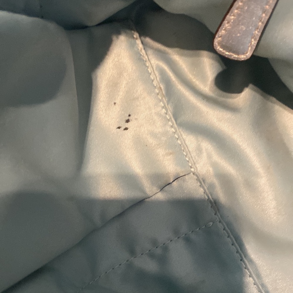 Silver Coach Bag - Picture 4 of 4